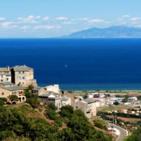Appartement Neuf Entre Mer Et Montagne. Furiani Exterior foto